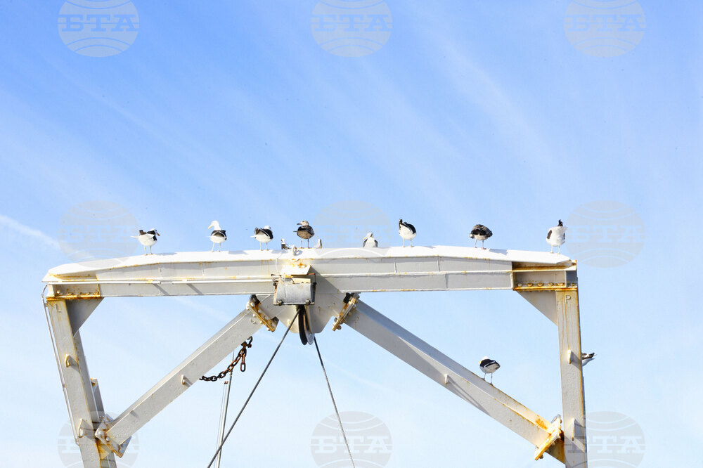 Аржентина - бойни обучения - Военен научноизследователски кораб „Св. Св. Кирил и Методий“ - НИК 421