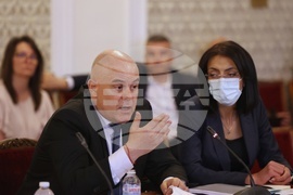 Парламент - Иван Гешев - комисия