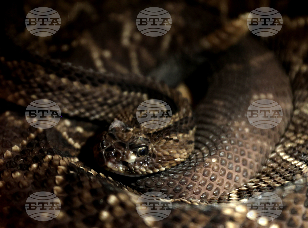 Музейко - изложба - екзотични животни