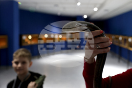 Музейко - изложба - екзотични животни