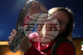 Музейко - изложба - екзотични животни