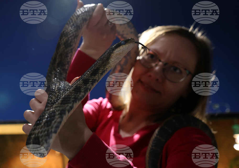 Музейко - изложба - екзотични животни