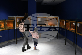 Музейко - изложба - екзотични животни