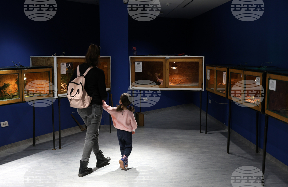 Музейко - изложба - екзотични животни