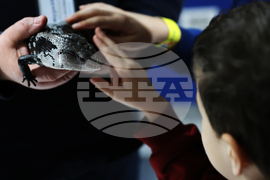 Музейко - изложба - екзотични животни