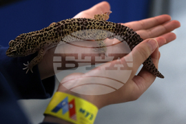 Музейко - изложба - екзотични животни