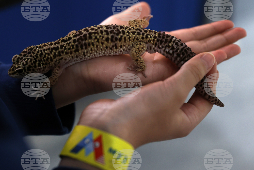 Музейко - изложба - екзотични животни