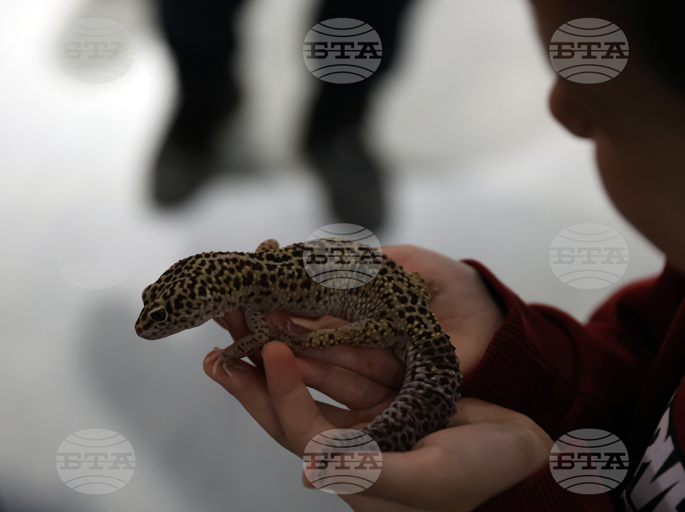 Музейко - изложба - екзотични животни