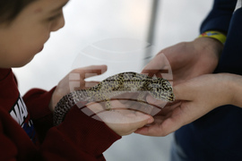 Музейко - изложба - екзотични животни