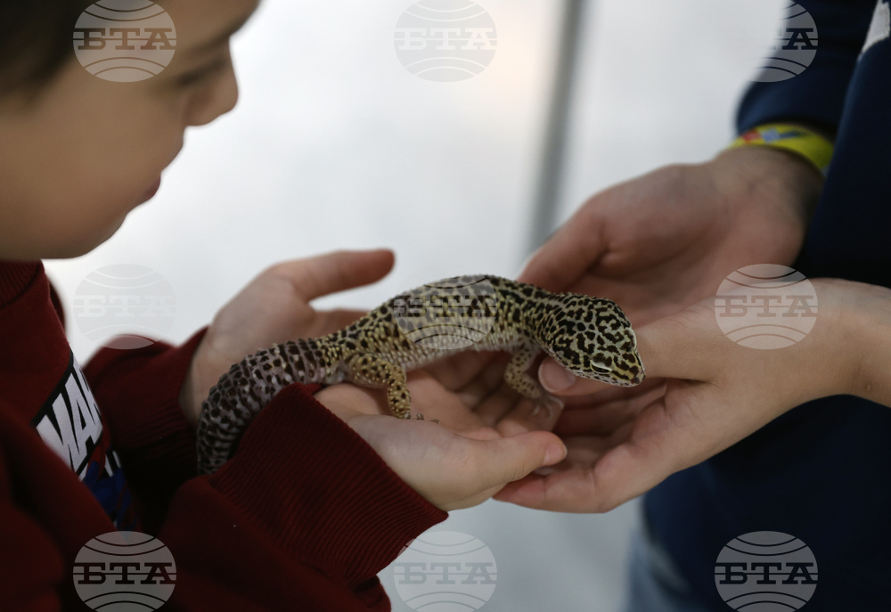 Музейко - изложба - екзотични животни