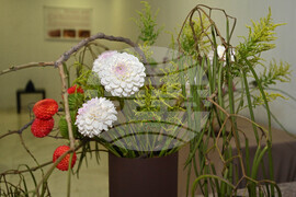 Пловдив - изложба - икебана