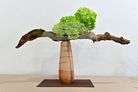 Пловдив - изложба - икебана