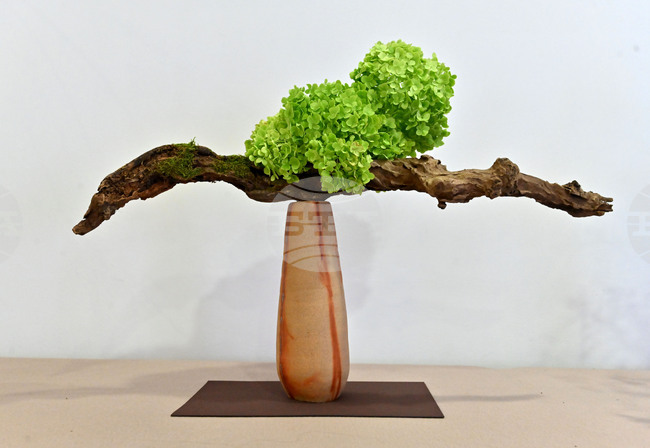 Пловдив - изложба - икебана