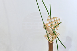 Пловдив - изложба - икебана