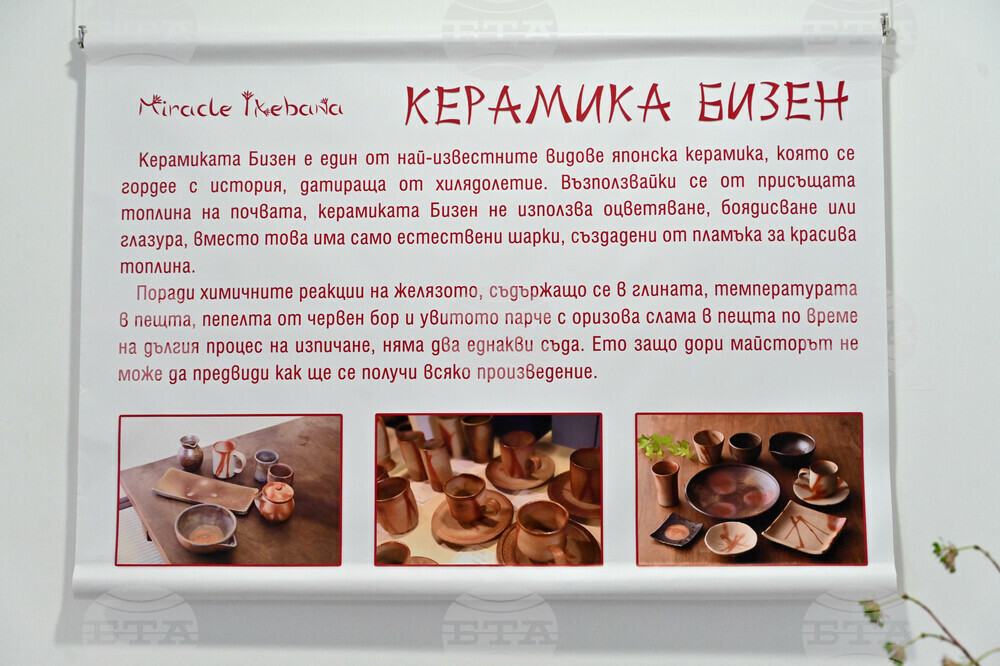 Пловдив - изложба - икебана