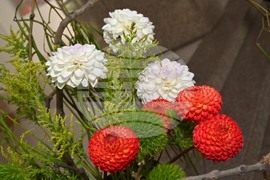 Пловдив - изложба - икебана