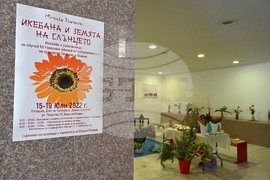 Пловдив - изложба - икебана