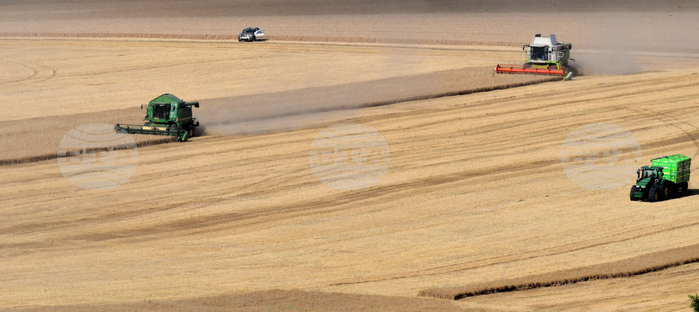 Село Голям Поровец - жътва