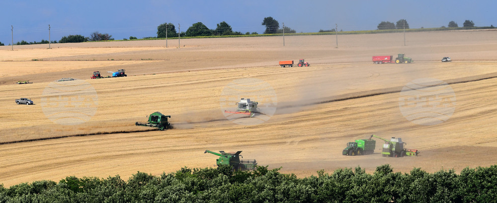 Село Голям Поровец - жътва