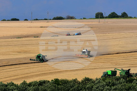 Село Голям Поровец - жътва