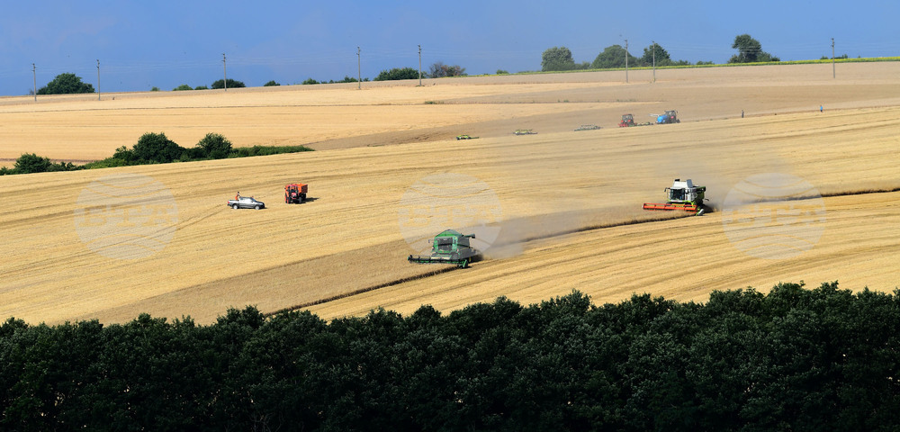 Село Голям Поровец - жътва