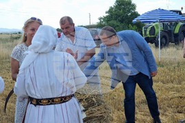 Село Козарево - жътва - Иван Иванов