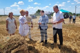 Село Козарево - жътва - Иван Иванов