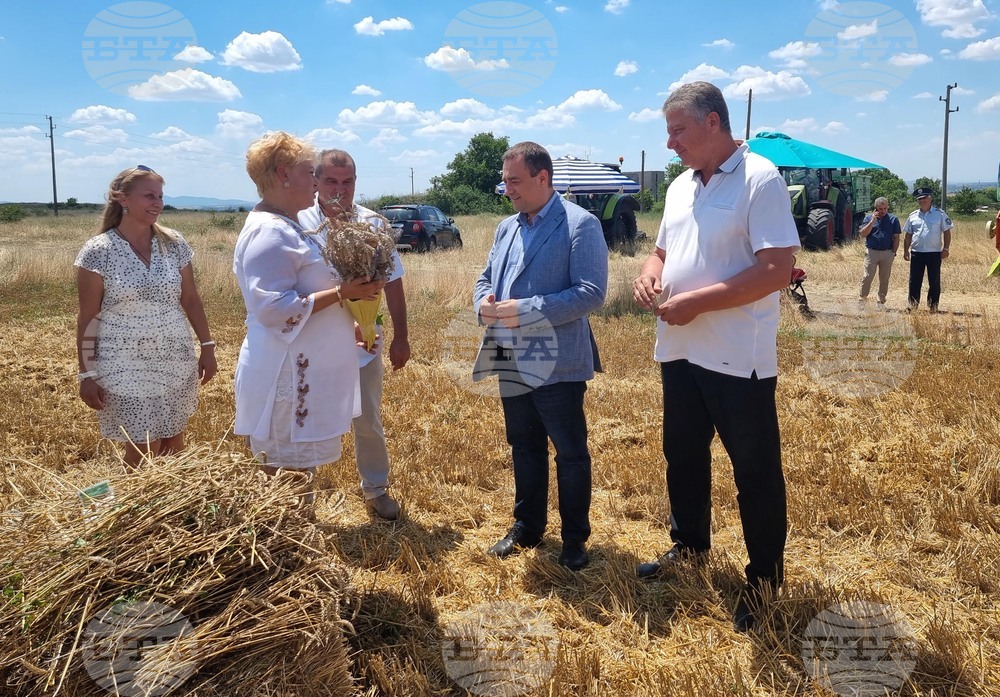 Село Козарево - жътва - Иван Иванов