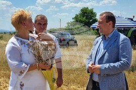 Село Козарево - жътва - Иван Иванов