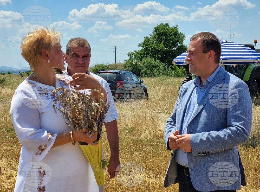 Село Козарево - жътва - Иван Иванов