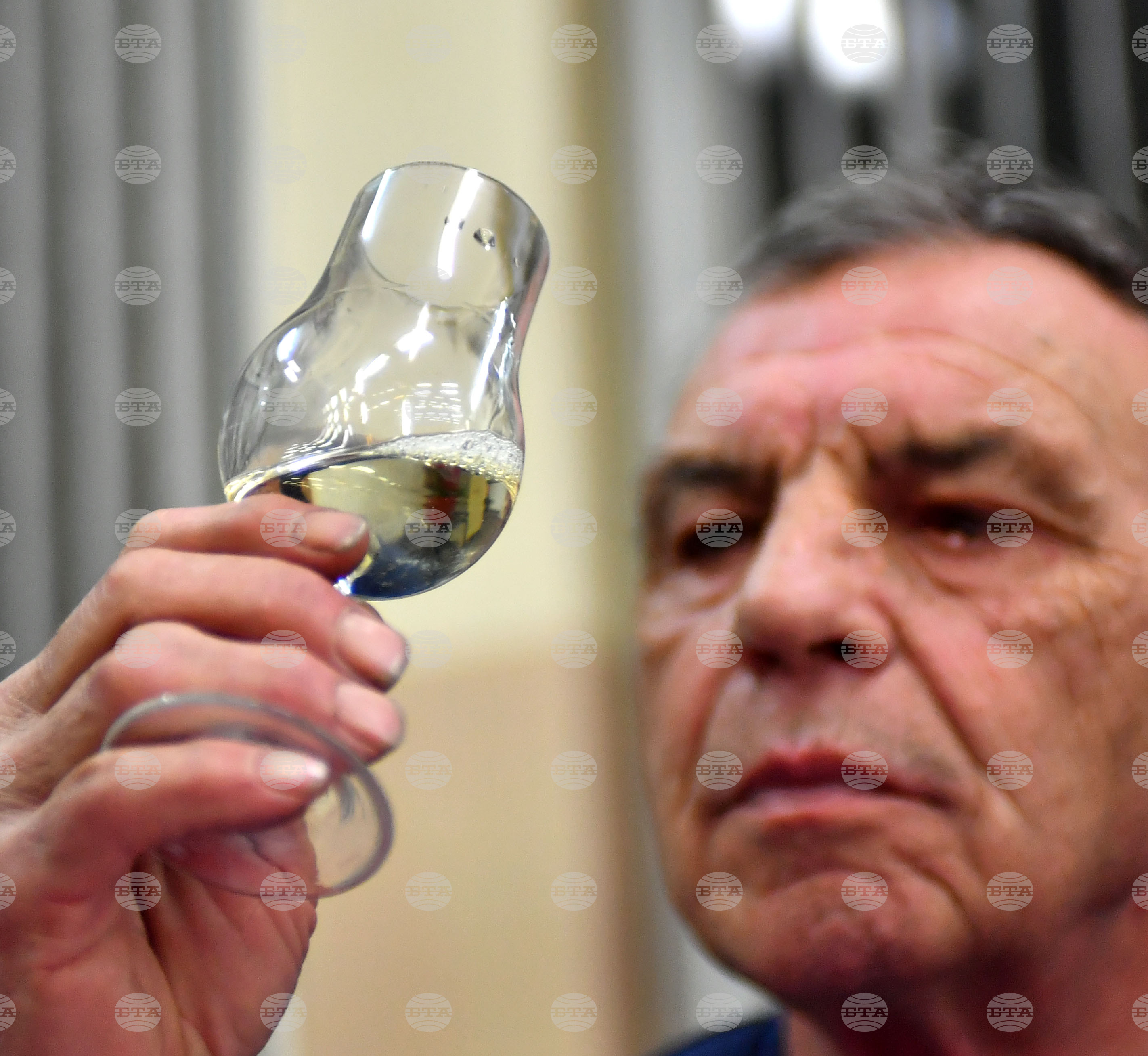 Кубрат - конкурс за домашно вино