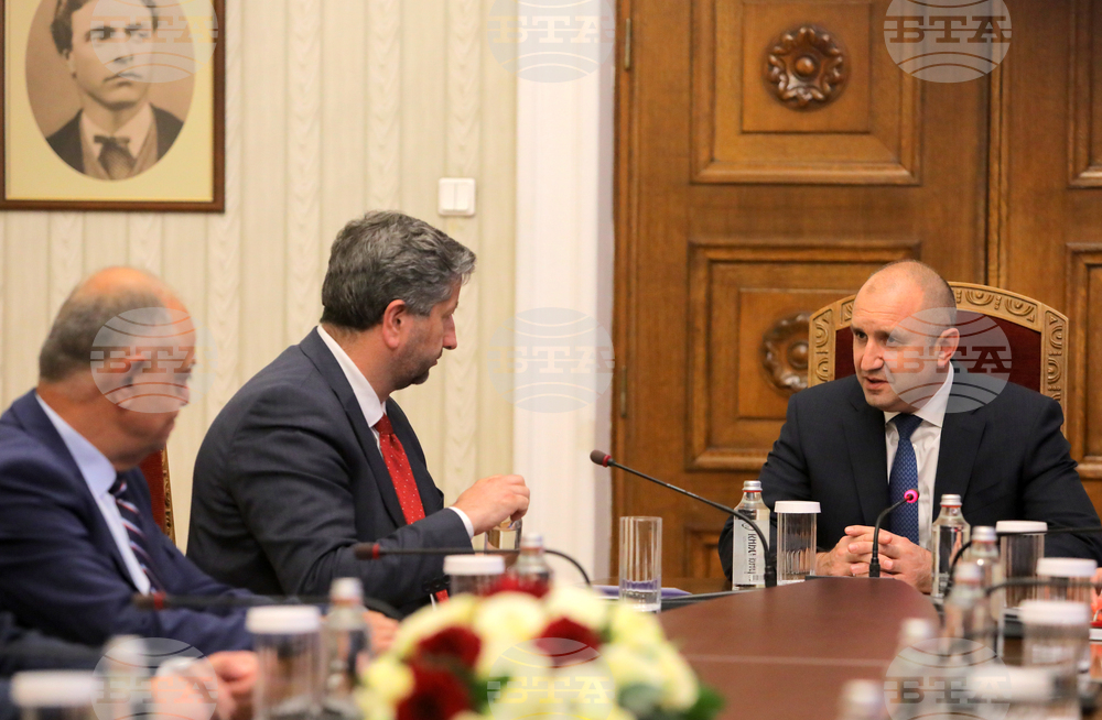 Президент - парламентарни групи - консултации - ДБ