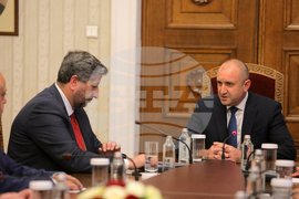 Президент - парламентарни групи - консултации - ДБ