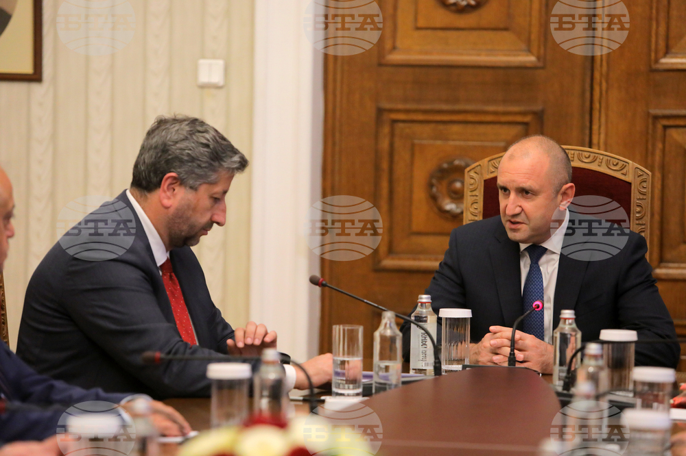 Президент - парламентарни групи - консултации - ДБ