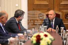 Президент - парламентарни групи - консултации - ДБ