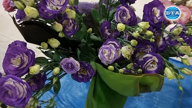 Изложба „Икебана и Земята на слънцето" представя в Пловдив композиции във вази от керамика Бизен