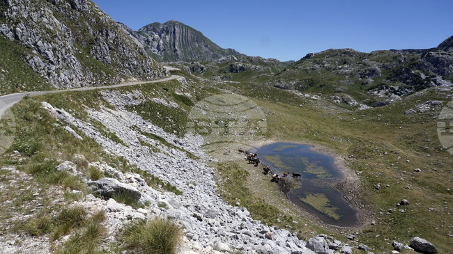 Американец загина по време на планински преход в Босна