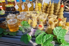 Петрич - винарски изби по долината на Струма - дни на отворените врати