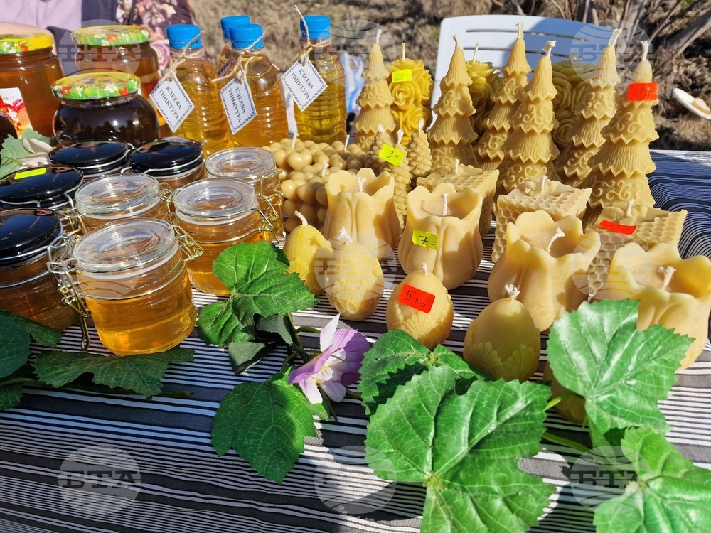 Общо 17 винарни от Долината на Струма отварят врати за Трифон Зарезан