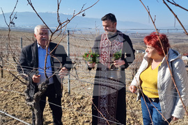 Петрич - винарски изби по долината на Струма - дни на отворените врати
