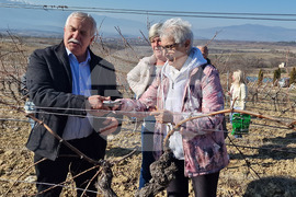Петрич - винарски изби по долината на Струма - дни на отворените врати