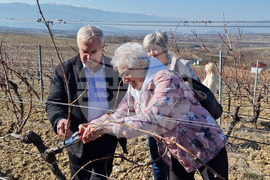 Петрич - винарски изби по долината на Струма - дни на отворените врати