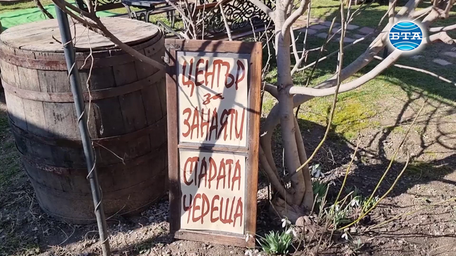 Събитие под надслов „Червено вино с аромат на череши“ организираха в кюстендилското село Раждавица