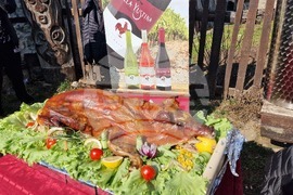 Златоград - Трифониада - празник на виното