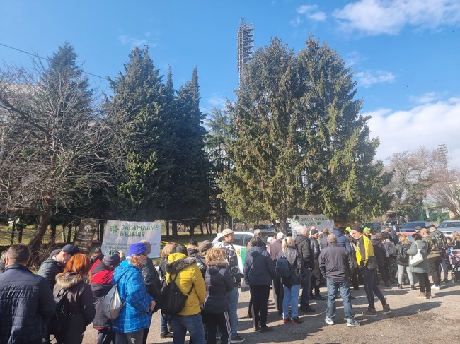 Раздадоха близо 19 хиляди безплатни фиданки в Стара Загора