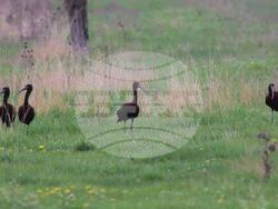 Снимка: Министерство на околната среда и водите