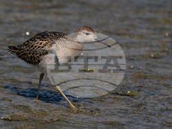 Снимка: Министерство на околната среда и водите