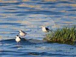 Снимка: Министерство на околната среда и водите