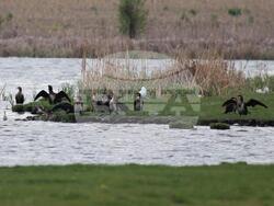 Снимка: Министерство на околната среда и водите