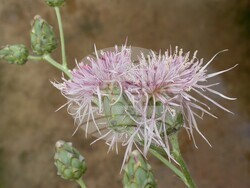 Снимка: Министерство на околната среда и водите